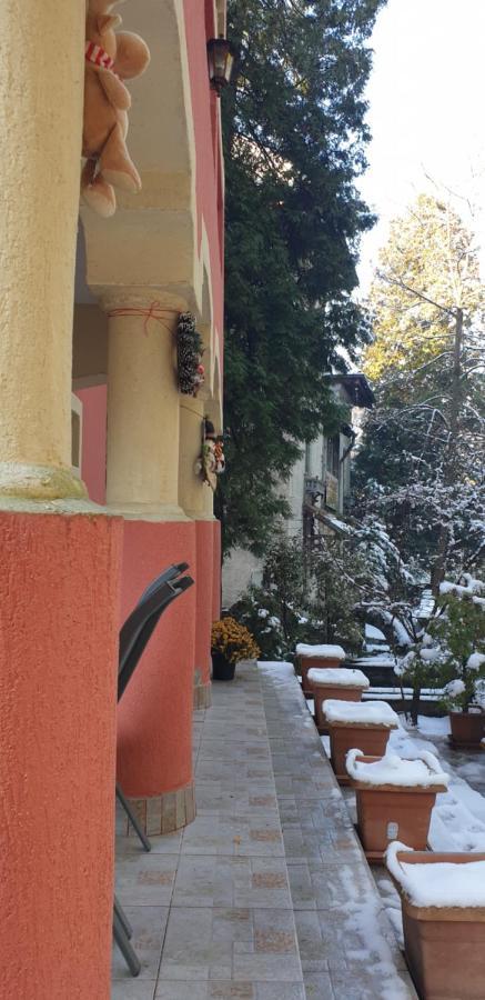 Casa Rosa Hotel Băile Olăneşti Eksteriør billede