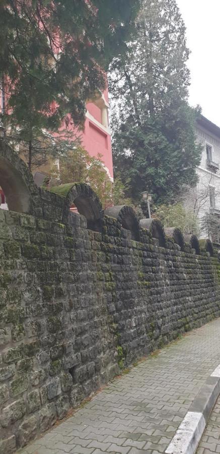 Casa Rosa Hotel Băile Olăneşti Eksteriør billede
