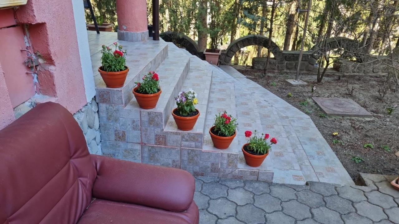 Casa Rosa Hotel Băile Olăneşti Eksteriør billede